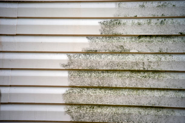 How To Choose The Right Materials for Your Siding Installation in 'Albertville, MN