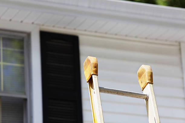 Best Wood Siding Installation  in Albertville, MN